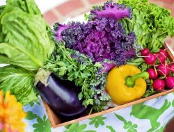 Tips Belanja Sayur dan Bahan Dapur Supaya Tetap Fresh dan Hemat