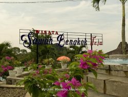 Wisata Sawah Bengkok Desa Teja, Destinasi Wisata Alam dan Selfie Spot di Majalengka