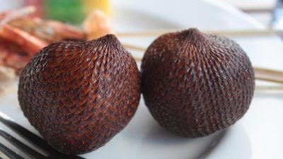 Dibalik Tampilannya yang Unik, Ternyata Ini Khasiat Buah Salak