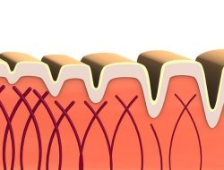 Ini Penyebab dan Tanda-tanda Tubuh Kekurangan Kolagen