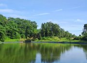 Yuk Nikmati Keindahan Kebun Raya Kuningan, Surga Flora dan Wisata Edukatif!