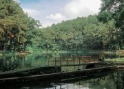 Liburan Santai ke Talaga Remis, Wisata Alam Eksotis di Kabupaten Kuningan