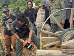 Kemenhut Tutup 281 Lubang Tambang Ilegal di Gunung Halimun, Kerugian Negara Capai Rp350 Miliar