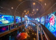 Planetarium Jakarta Bertransformasi Jadi Pusat Edukasi Sains Berbasis AI