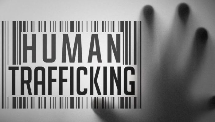 Modus TPPO di Kamboja, WNI Dijanjikan Kerja Operator Komputer