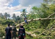 Cuaca Ekstrem di Tasikmalaya, Belasan Rumah Rusak Tertimpa Pohon