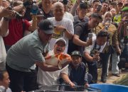 ‎2.165 Koi Bernilai Miliaran Rupiah Ditebar di Situ Cipanten Majalengka‎‎