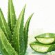 Manfaat Lidah Buaya untuk Wajah