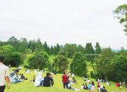 Uncle D Backyard, Destinasi Santai Favorit di Bandung