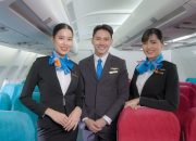 TransNusa Buka Walk In Interview Pramugari-Pramugara, Ini Syarat dan Ketentuannya