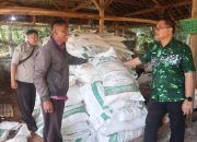 Pemkab Kuningan Larang Penanaman Sawit, Petani Dialihkan ke Kelapa Genjah