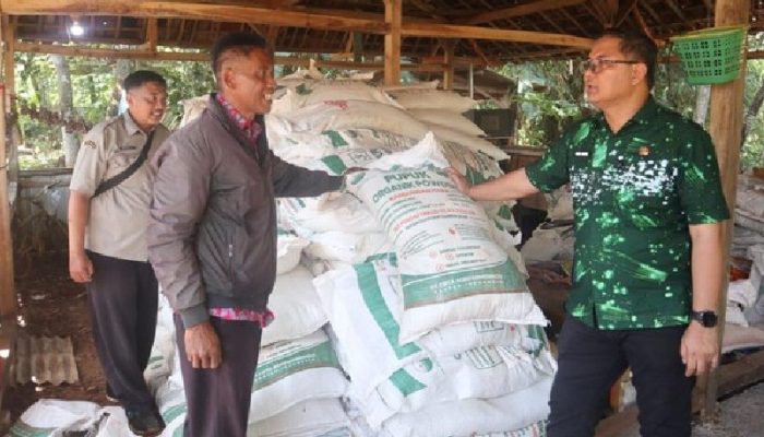 Pemkab Kuningan Larang Penanaman Sawit, Petani Dialihkan ke Kelapa Genjah