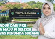Ikut Seleksi Dewan Pengawas Perumda, Lina Marliana Resmi Mundur dari PKB Subang