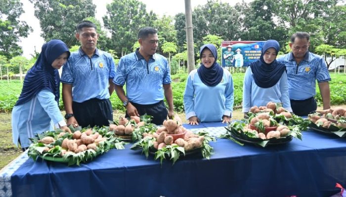 Panen Ubi, Lanud Adi Soemarmo Perkuat Ketahanan Nasional Lewat Program Kemandirian Pangan