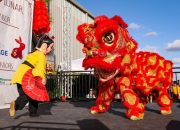 Barongsai Tak Lagi Sekadar Atraksi Imlek, Berkembang Jadi Simbol Harmoni dan Cabang Olahraga