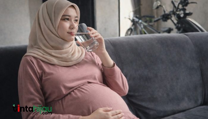 Bumil Ingin Puasa? Ini Tips Aman dan Sehat agar Ibu dan Janin Tetap Terjaga
