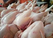 Mendag Sebut Program MBG Justru Membuat Harga Daging Ayam di Pasaran Stabil