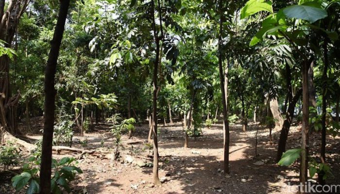 Diduga Selalu Jadi Tempat Asusila, Pemkot Jaktim Tutup 2 Akses Ilegal ke Taman Kota di Cawang
