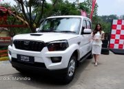 Kadin Desak Prabowo Subianto Batalkan Impor 105 Ribu Pick Up India