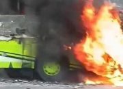 Bus Pariwisata Terbakar di Tol Cipali KM 95, Tidak Ada Korban Jiwa