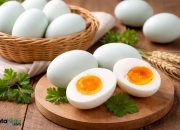 Manfaat Telur Bebek untuk Kesehatan, Sumber Protein yang Kaya Nutrisi