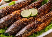 Manfaat Ikan Lele untuk Tumbuh Kembang Anak