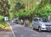 Perjalanan Jauh Tanpa Mabuk, Begini Cara Mengatasinya