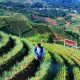 Dari Pagi Sampai Sore di Majalengka, Ini 5 Tempat yang Bisa Dikunjungi dalam Sehari