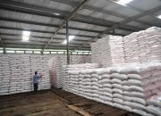 Musim Tanam Gadu Dimulai, Stok Pupuk Subsidi di Jabar Dipastikan Aman Sesuai Alokasi