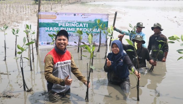 Pertamina EP Tanam 3.000 Mangrove di Pesisir Subang, Tekan Abrasi dan Banjir Rob