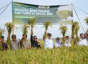 Panen Benih Padi Unggul BRIN di Subang, Empat Varietas Disiapkan Dongkrak Produktivitas