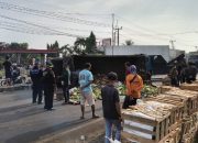 Truk Bermuatan Mangga Terguling di Pantura Patokbeusi Subang, Sopir Diduga Mengantuk