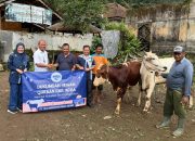 AQUA Pabrik Subang Salurkan 4 Ekor Sapi Kurban, Dibagikan untuk Ribuan Warga di Wilayah Subang Selatan