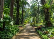 Bukan Cuma Kebun Raya, Ini Wisata Menarik di Jantung Kota Bogor