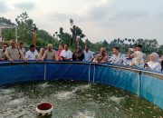 Panen Perdana Kampung Ikan Damandiri, Hasilkan 350 Kg Per Kolam