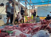 Bukan Kaleng-Kaleng! Jumlah Kurban di Puri Subang Asri Meningkat!