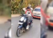 Viral di Medsos, Pemotor Tanpa Helm Halangi Laju Ambulans