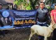 Perumda TRS Sembelih 8 Kambing Kurban Serentak di Delapan Cabang