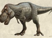 Terungkap! Misteri T-Rex Memiliki Tangan yang Sangat Pendek