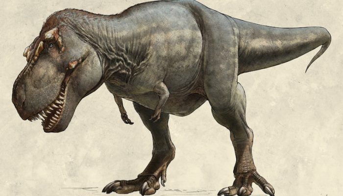 Terungkap! Misteri T-Rex Memiliki Tangan yang Sangat Pendek