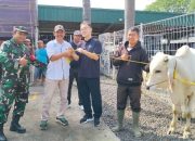 Idul Adha 1447 H, PT TKG Taekwang Indonesia Salurkan 17 Hewan Kurban