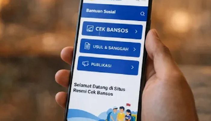Mudah dan Cepat, Begini Cara Cek Penerima Bansos PKH dan BPNT Lewat HP