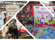 Assyifa Peduli Subang Distribusikan 531 Hewan Qurban ke Berbagai Daerah dan Mancanegara
