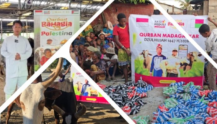 Assyifa Peduli Subang Distribusikan 531 Hewan Qurban ke Berbagai Daerah dan Mancanegara