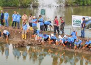 Jaga Keseimbangan Ekosistem, PT Dahana Tanam 2.000 Mangrove di Pesisir Subang