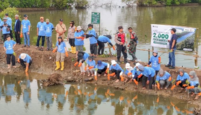 Jaga Keseimbangan Ekosistem, PT Dahana Tanam 2.000 Mangrove di Pesisir Subang