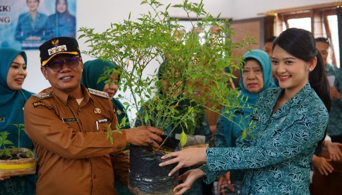 Dinas Pertanian Subang: Gerakan Tanam Cabai Bisa Jadi Senjata Tekan Inflasi