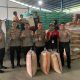 ‎Membanggakan, Polres Majalengka Distribusikan Panen Jagung Capai 950 Ton