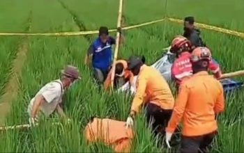 Geger! Hilang 10 Hari, Nenek di Pabuaran Subang Ditemukan Meninggal di Sawah