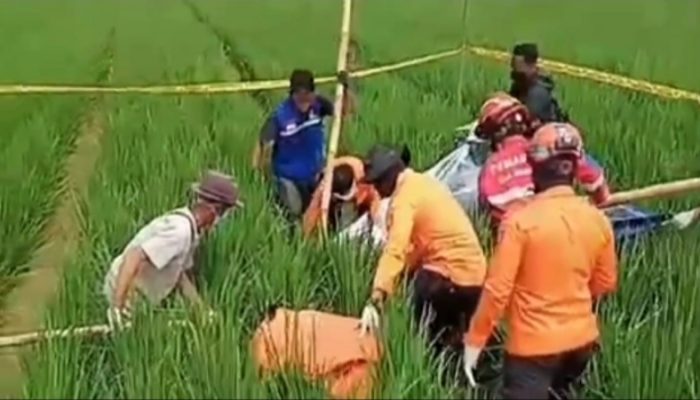 Geger! Hilang 10 Hari, Nenek di Pabuaran Subang Ditemukan Meninggal di Sawah
